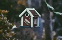 closeup photo of red and white bird house