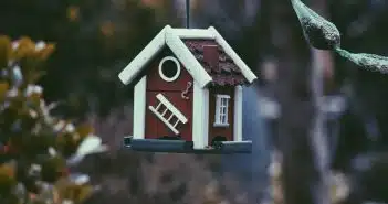 closeup photo of red and white bird house