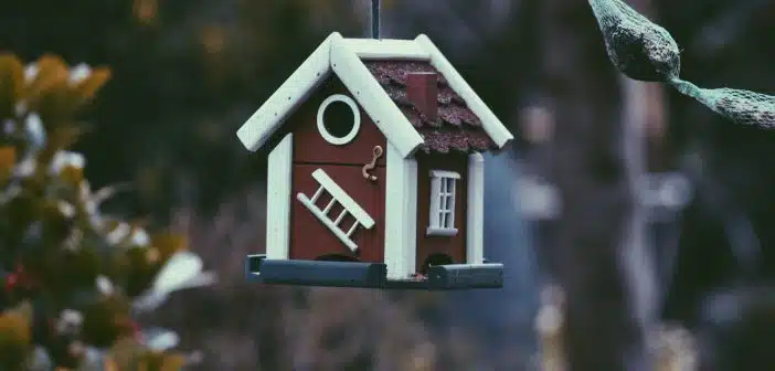 closeup photo of red and white bird house