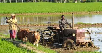 man riding farm equipment during daytime