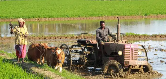 man riding farm equipment during daytime