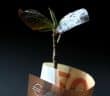 brown and white paper bag