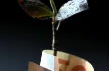 brown and white paper bag